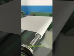 पॉलिएस्टर घूंघट 40g/m2